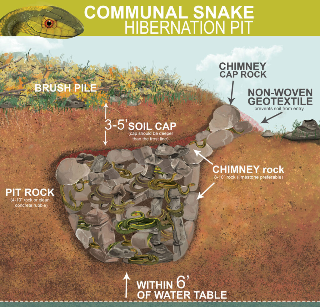 Snake Hibernation pit diagram